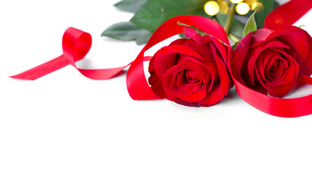 Valentine's Day. Red roses isolated on white backgroundの写真素材