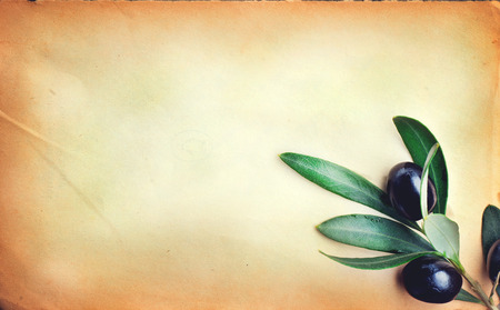 Olive over paper background. Fresh and healthy organic olives border designの写真素材