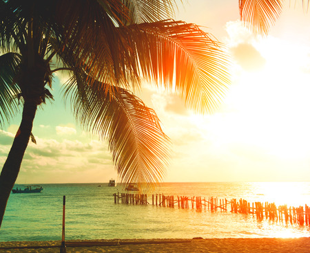 Sunset beach with palm trees and beautiful sky. Tourism, travel, vacation conceptの写真素材