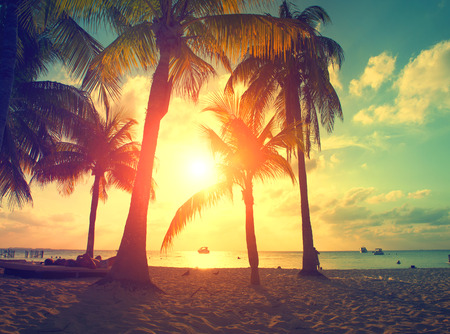 Sunset beach with palm trees and beautiful sky. Paradise scene of Caribbean Island