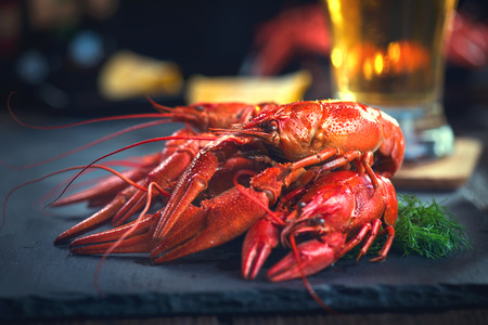 Red boiled crayfish with lemon and herbs on stone slate. Crawfish closeupの写真素材