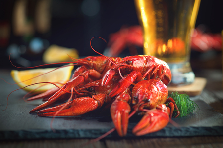 Red boiled crayfish with lemon and herbs on stone slate. Crawfish closeupの写真素材