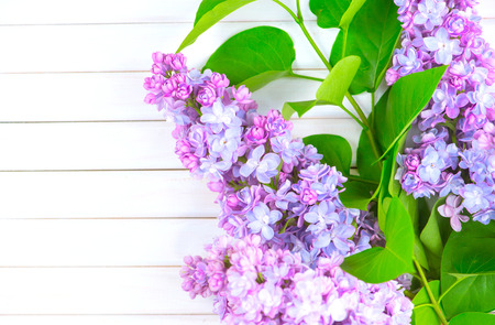 Lilac flowers bunch on white planks wood backgroundの写真素材