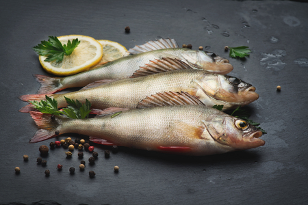 Fresh fish with aromatic herbs, spices, salt. Raw perches on dark slate trayの写真素材