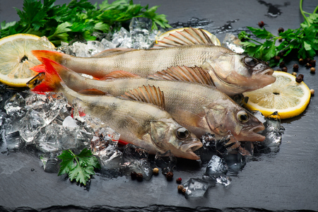 Fresh fish on ice with aromatic herbs, spices, salt. Raw perches on dark slate trayの写真素材