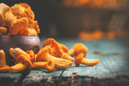 Raw wild chanterelles mushrooms in a bowl over old rustic backgroundの写真素材
