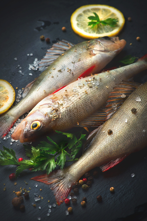 Fresh fish with aromatic herbs, spices, salt. Raw perches on dark slate trayの写真素材