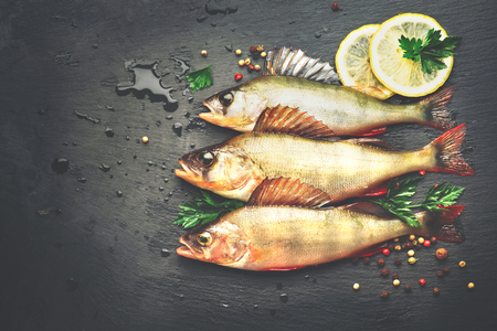 Fresh fish with aromatic herbs, spices, salt. Raw perches on dark slate trayの写真素材