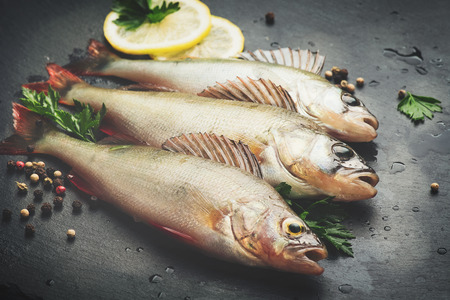 Fresh fish with aromatic herbs, spices, salt. Raw perches on dark slate trayの写真素材