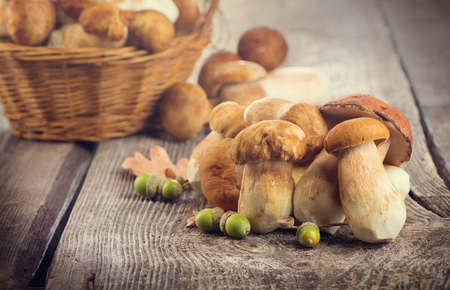 Ceps mushroom. Boletus closeup on wooden rustic tableの写真素材