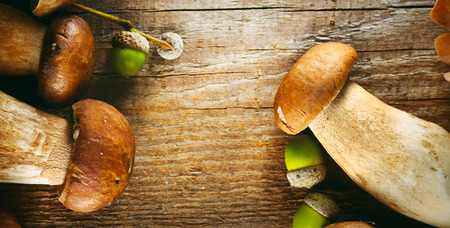 Ceps mushroom. Boletus closeup on wooden rustic tableの写真素材