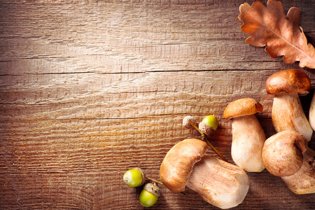 Ceps mushroom. Boletus border design on wooden rustic tableの写真素材