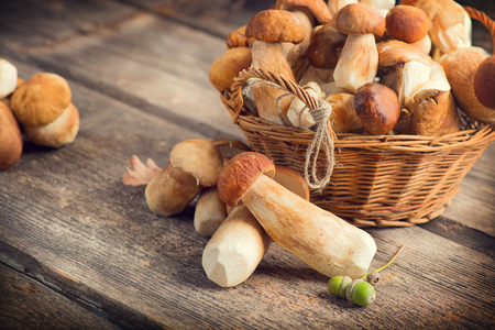 Ceps mushroom. Boletus closeup on wooden rustic tableの写真素材