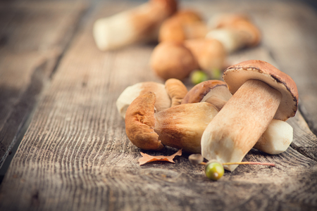 Ceps mushroom. Boletus closeup on wooden rustic tableの写真素材