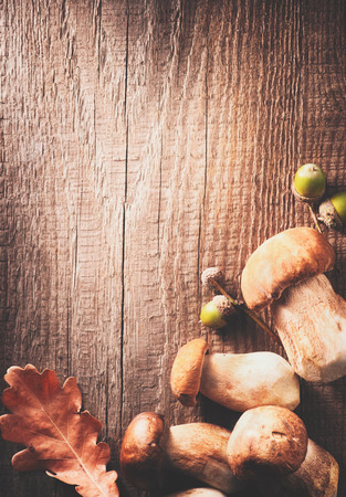 Ceps mushroom. Boletus border design on wooden rustic tableの写真素材