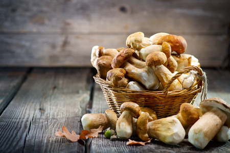 Ceps mushroom. Boletus closeup on wooden rustic tableの写真素材