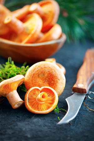 Raw wild Saffron milk cap mushrooms on dark old rustic background. Lactarius deliciosus. Rovellons, Niscalos. Organic fresh mushrooms with special knife closeup on a tableの写真素材