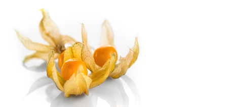 Physalis peruviana. Cape Gooseberries over white background. Ripe fresh Physalis closeup. Goldenberryの写真素材
