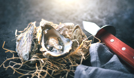 Oyster. Fresh oysters closeup with knife on dark background. Oyster dinner in restaurant. Gourmet...