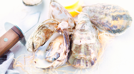Oyster. Fresh oysters closeup with knife. Oyster dinner in restaurant. Gourmet food. Border design with copy space for your text. Top view, flatlayの写真素材