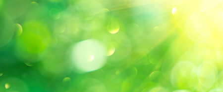 Beautiful nature abstract blurred background. Green bokeh backdrop. Summer or spring background with sun flares, wide screenの写真素材