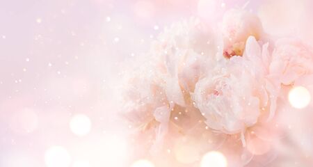 Beautiful pink peony bouquet artの写真素材