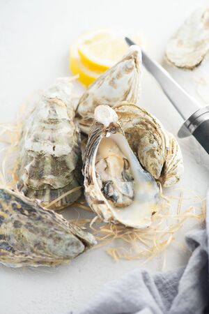 Oyster. Fresh oysters closeup with knife. Oyster dinner in restaurant. Gourmet food. Top view, flatlayの写真素材
