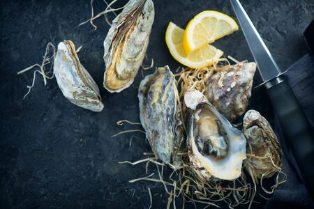 Oyster. Fresh oysters closeup with knife on darkの写真素材