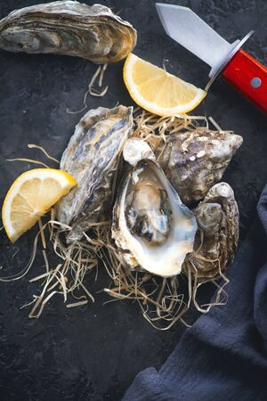 Oyster. Fresh oysters with knife closeup. Oysters with lemon on dark slateの写真素材