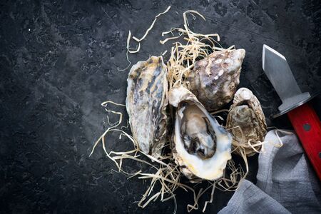 Oyster. Fresh oysters with knife closeup. Oysters on dark slateの写真素材