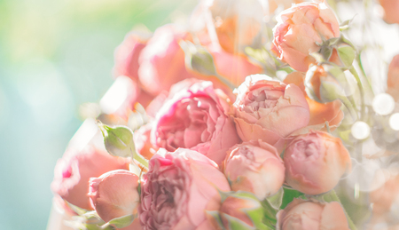Roses. Bouquet of pink rose flowers in sun light. Holiday backgroundの写真素材