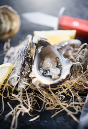 Oyster. Fresh oysters closeup with knife. Oyster dinner in restaurant. Gourmet food. Top view, flatlayの写真素材