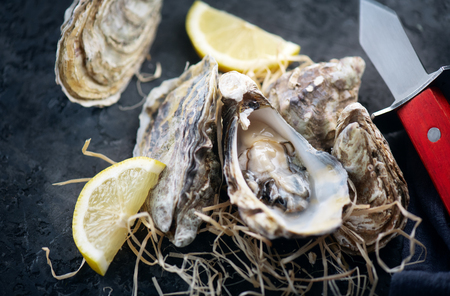 Oyster. Fresh oysters with knife closeup. Oysters on dark slate background. Gourmet food. Flatlay, top viewの写真素材
