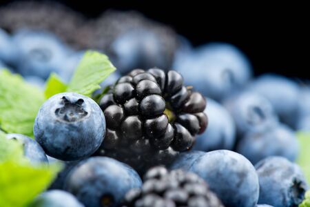 Blueberry and blackberry background. Ripe and juicy fresh picked blueberries rotate closeupの写真素材