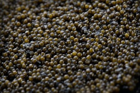 Black Caviar background. High quality real natural sturgeon black caviar close-up. Delicatessen. Texture of expensive luxury caviar. Backdrop. Seafood. Flat lay, top viewの写真素材