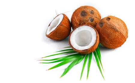 Coconut with coconuts palm tree leaf isolated on a white background. Border design. Wide angle. Fresh raw organic half of coco nut. Healthy Food, skin care concept. Vegan foodの写真素材
