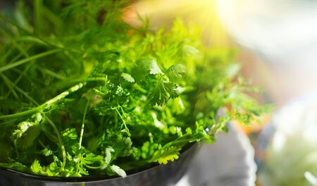 Parsley. Fresh organic parsley leaves in metal colander on a table. Diet, dieting concept. Vegan food, healthy eating. Seasoningsの写真素材