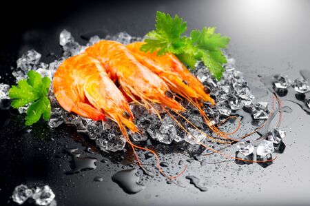 Shrimps. Fresh Prawns on a Black Background. Seafood on crashed ice served with herbs, dark background, Served food, preparing healthy food, cooking, diet, nutrition concept.の写真素材