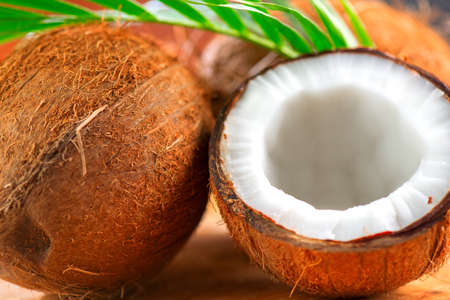 Coconut with coconuts green palm tree leaf closeup. Beauty treatments. Coco nut close-up. Healthy Food, skin care concept. Vegan food, cosmeticsの写真素材