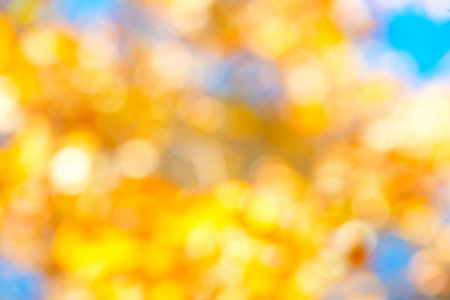 Autumn blurred background, fall. abstract background. Colorful bright leaves, yellow, orange and red colors backdrop. Abstract art design, bokehの写真素材