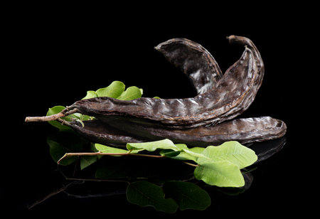 carob. Healthy organic sweet carob pods with seeds and leaves close up. Healthy eating, food background. Organic vegan food. isolated on black backgroundの写真素材