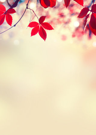 autumn leaves vertical background. Beautiful Fall. Nature. Colorful autumnal leaf over blurred background. beauty autumn scene. backdropの写真素材