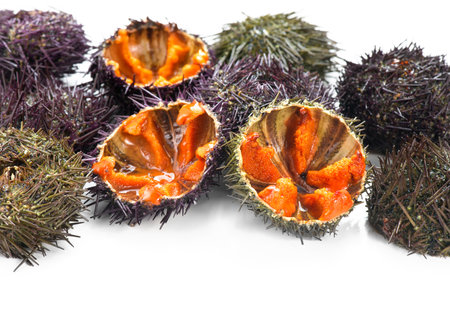Sea Urchin with caviar close-up, isolated on white background. Fresh sea urchins border design, delicatessen food. Traditional Mediterranean gourmet food. Roe. Sea food.の写真素材