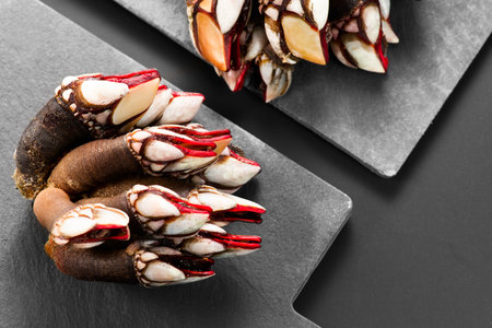 Barnacles, goose neck barnacle, percebes, gallician barnacles on a slate, over black background. Pollicipes pollicipes. Expensive delicatessen, gourmet sea food. Top viewの写真素材