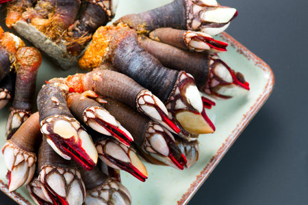 Barnacles, goose neck barnacle, percebes, gallician barnacles in a plate on black background, close-up. Pollicipes pollicipes. Expensive delicatessen, gourmet sea foodの写真素材