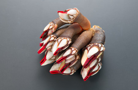 Barnacles, goose neck barnacle, percebes, gallician barnacles. Pollicipes pollicipes. Expensive delicatessen, gourmet sea food on black background, top view.の写真素材