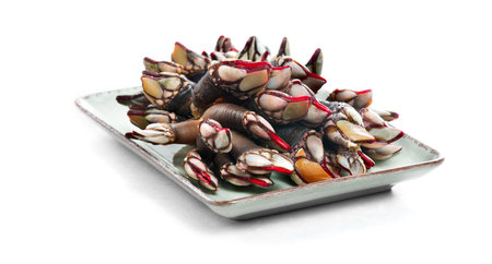 Barnacles, goose neck barnacle, percebes, gallician barnacles in a plate, isolated on white background, close-up. Pollicipes pollicipes. Expensive delicatessen, gourmet sea food.の写真素材