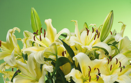 Lily flowers bouquet. Beautiful lillies, big bunch over green background. Close upの写真素材