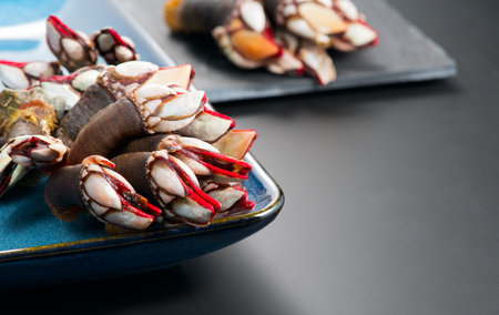 Barnacles, goose neck barnacle, percebes, gallician barnacles in a plate. Pollicipes pollicipes. Expensive delicatessen, gourmet sea food on gray background.の写真素材