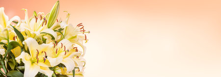 Lily flowers bouquet. Beautiful yellow lillies, big bunch over yellow background. Wide screen backdrop, border art designの写真素材